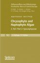 Süßwasserflora von Mitteleuropa, Bd 1/2: Chrysophyte and Haptophyte Algae: Synurophyceae [English]