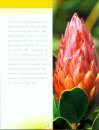 El Cultivo de Proteas Sudafricanas y su Desarrollo en Canarias [The Cultivation of South African Proteas and Their Development in the Canary Islands]
