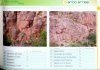 Climbing in Arico: More than 500 Routes in 13 Different Sectors / Escaladas en Arico: Más de 500 Vías en 13 Sectores Diferentes