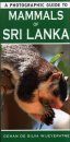 A Photographic Guide to the Mammals of Sri Lanka