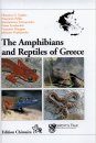 The Amphibians and Reptiles of Greece