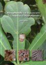 Mycosphaerella and its Anamorphs: 2. Conspectus of Mycosphaerella