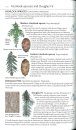 Collins Complete Guide to British Trees