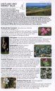 Collins Complete Guide to British Wild Flowers