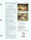 Catalogue of American Amphibians and Reptiles: Numbers 821-840