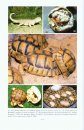 The Lives of Captive Reptiles