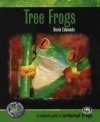 Tree Frogs