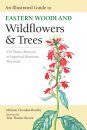 An Illustrated Guide to Eastern Woodland Wildflowers & Trees