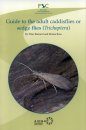 A Guide to the Adult Caddisflies or Sedge Flies (Trichoptera)