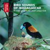 Bird Sounds of Madagascar