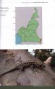 Atlas des Reptiles du Cameroun [Atlas of Reptiles of Cameroon]