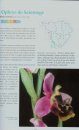 Les Orchidées de Poitou-Charentes et de Vendée [The Orchids of Poitou-Charentes and Vendée]