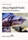 African Flapshell Turtles