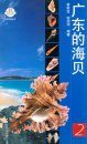 Guangdong De Haibei, Volume 2 [Seashells of Guangdong] [Chinese]