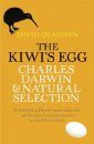 The Kiwi's Egg