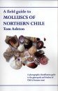 A Field Guide to Molluscs of Northern Chile