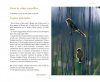 Oiseaux au fil d'Etangs: A la Découverte des Oiseaux du Littoral Languedocien [Birds over the Pond: Discovering the birds of the Languedoc Coast]