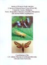 Insects of Western North America, Volume 3: Survey of Selected Insect Taxa of Fort Sill, Comanche County, Oklahoma, Part 2