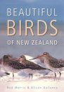 Beautiful Birds of New Zealand