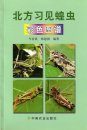 Colour Atlas of Common Species of Grasshoppers and Locusts from North China [Chinese]