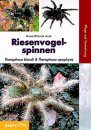Riesenvogelspinnen: Theraphosa Blondi & Theraphosa Apophysis