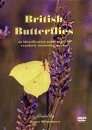 British Butterflies (Region ALL)