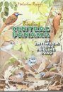 Birding Central Panama - DVD (All Regions)