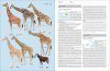 Handbook of the Mammals of the World, Volume 2: Hoofed Mammals
