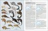 Handbook of the Mammals of the World, Volume 5: Monotremes and Marsupials