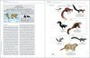 Handbook of the Mammals of the World, Volume 6: Lagomorphs and Rodents I