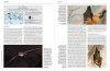 Handbook of the Mammals of the World, Volume 9: Bats