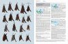 Handbook of the Mammals of the World, Volume 9: Bats
