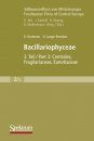 Süßwasserflora von Mitteleuropa, Bd 2/3: Bacillariophyceae 3.Teil