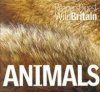Animals: Reader's Digest Wild Britain