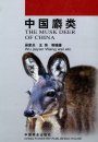 The Musk Deer of China [Chinese]