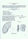 Texas Cretaceous Ammonites and Nautiloids
