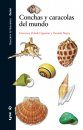 Conchas y Caracolas del Mundo [Sea Snails and Sea Shells of the World]