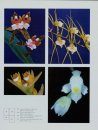 Genera Orchidacearum, Volume 5: Epidendroideae (Part 2)