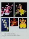 Genera Orchidacearum, Volume 5: Epidendroideae (Part 2)