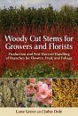 Woody Cut Stems for Growers and Florists