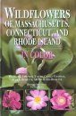 Wildflowers of Massachusetts, Connecticut, and Rhode Island in Color