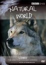 Natural World: Lobo - DVD (Region 2 & 4)