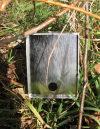 Longworth Small Mammal Trap with Shrew Hole