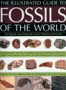 An Illustrated Guide to the Fossils of the World