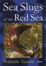 Sea Slugs of the Red Sea