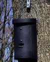 1FS Schwegler Large Colony Bat Box