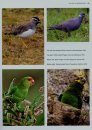 Birds of Ethiopia and Eritrea