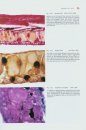 Atlas of Fish Histology