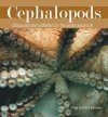 Cephalopods: Octopuses and Cuttlefish for the Home Aquarium