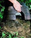 Schwegler Hedgehog Dome